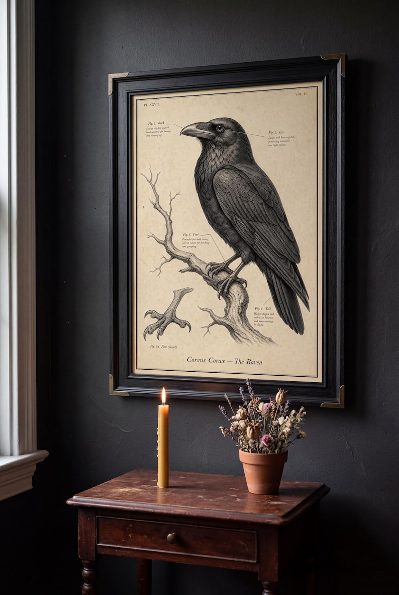 Memento Mori Art Set, 6 Vintage Skull Prints for Dark Academia Decor - Etsy