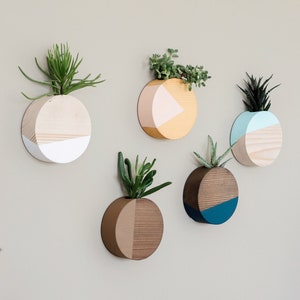Wandvase aus Holz für Sukkulenten, Wandbehang, Wandbehang aus Holz, Luftpflanzenhalter aus Holz, Wanddeko, Geschenk zum Muttertag