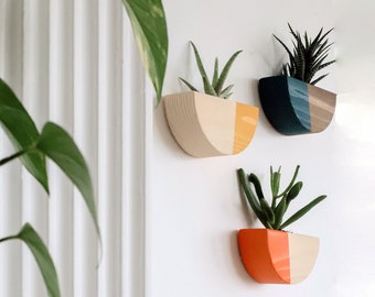 Rustic Wooden Wall Planter: Succulent Air Plant Vase