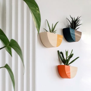 Wandvase aus Holz für Sukkulenten, Wandbehang, Wandbehang aus Holz, Luftpflanzenhalter aus Holz, Wanddeko, Geschenk zum Muttertag