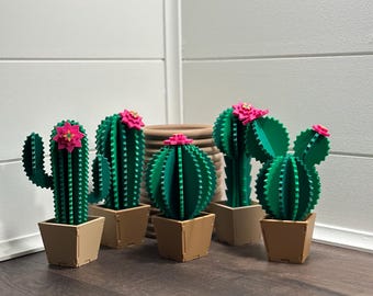 Cactus Decor Set 3D Printed - Modern Green Succulent Plants with Pots - Unique Desk & Shelf Decor - Eco-Frendly