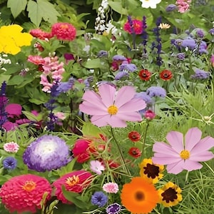 Könnte beinhalten: Ein lebendiger Blumengarten mit einer Vielzahl von bunten Blüten, darunter rosa, lila, orange, gelbe und rote Blumen. Der Garten ist üppig und grün, mit einer Vielzahl von Pflanzen und Blättern.