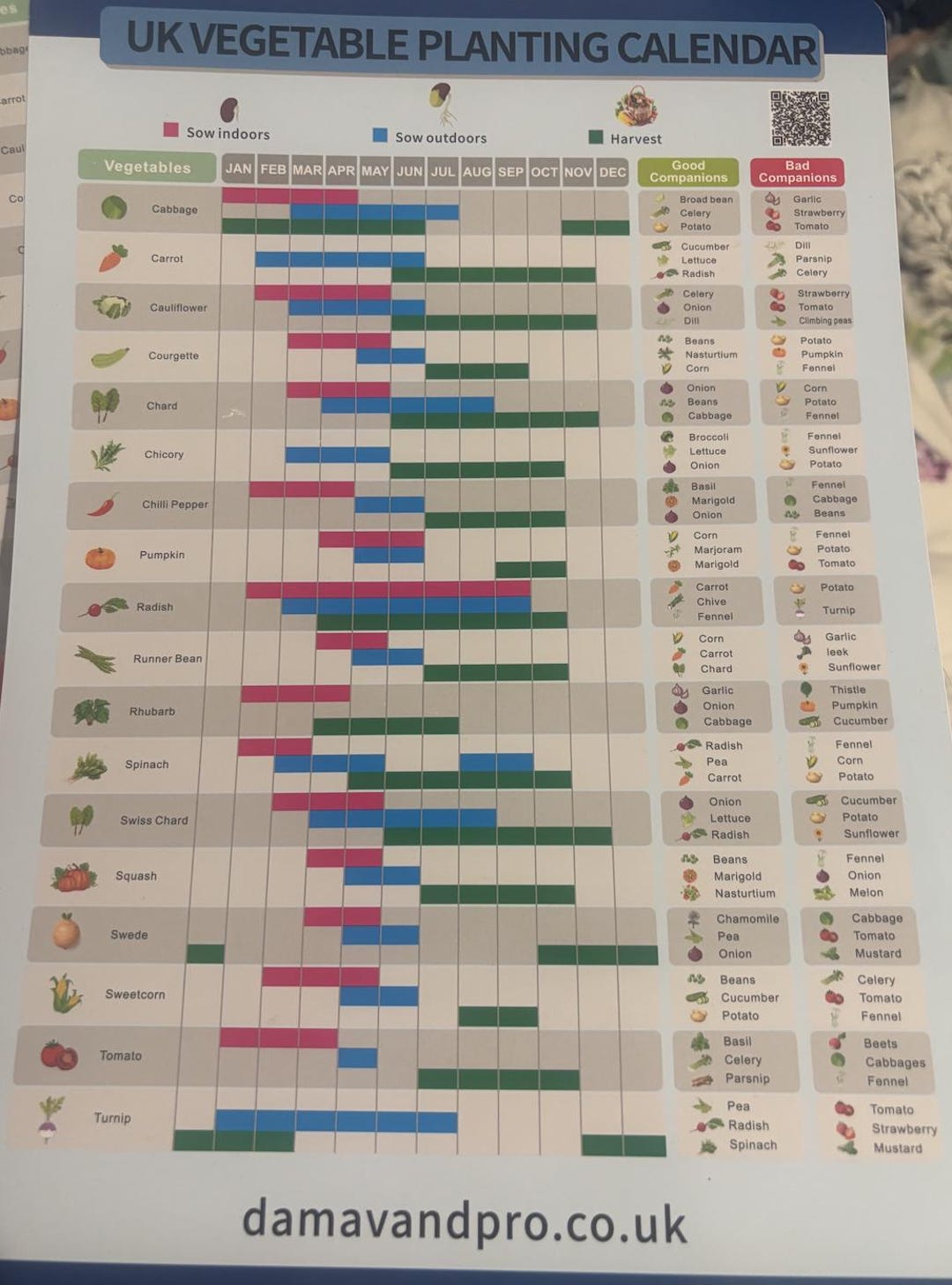 A4 Garden Planting Veg Laminated Calendar X 2 Sheets Year-round Planner ...