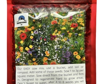 25g de Sementes de Flores Silvestres Anãs para Prado - 100% Sementes Puras - Sem Grama, Sem Enchimentos - Flores Silvestres Premium do Reino Unido - Atrai Abelhas e Borboletas