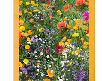 Sementes de flores silvestres para presente de casamento (1500 unidades) | Sementes de prado, flores silvestres puras, 100% sementes, sem grama. Atraem abelhas e borboletas. Ótimo presente para festas.