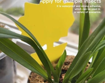 Fruit Fly Trap 36 Pack Double-Sided Yellow Sticky Traps for Indoor & Outdoor Use Non-Toxic Insect Catcher for Fruit Flies, Gnats, Whiteflies