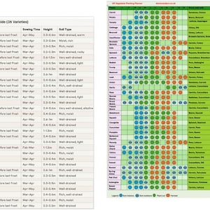 A3 Laminated Garden Planting Calendar Year-round Planner for 36 Herbs ...