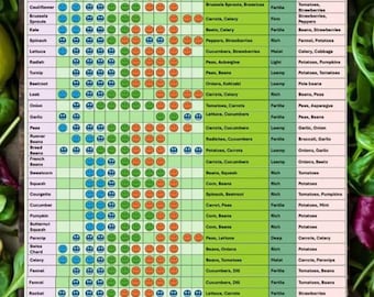 A3 Laminated Garden Planting Calendar Year-round Planner for 36 Herbs ...