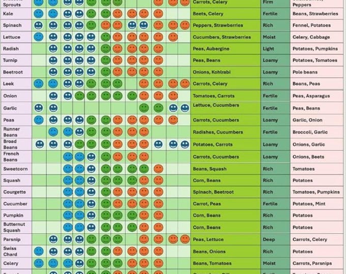 A3 Laminated Garden Planting Calendar Year-round Planner for 36 Herbs ...