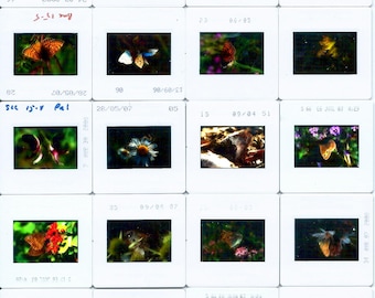 20 diapositive fotografiche vintage sulla natura: pellicole positive di farfalle, progetti artistici
