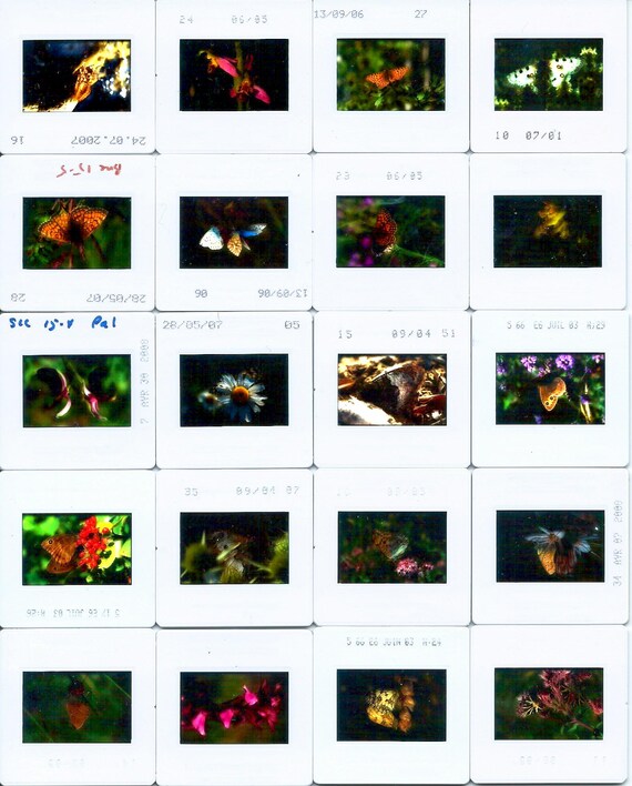 20 x Vintage Nature Photography Slides: Butterfly Film Positives, Art Projects