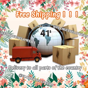 K&ouml;nnte beinhalten: Bild mit dem Text "Free Shipping!!!" und "Delivery to all parts of the country." Ein roter Lieferwagen steht vor einem Globus mit der Zahl "41" darauf. Mehrere Pappkartons sind ebenfalls vorhanden.