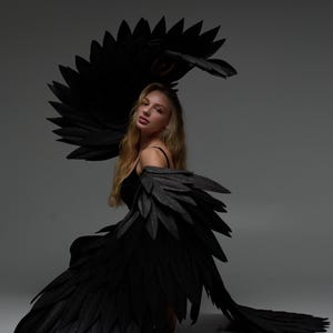 Black wings and tail costume, Bird wings costume cosplay, Black wings, Big bird wings, Arm wings, Flexible wings arms