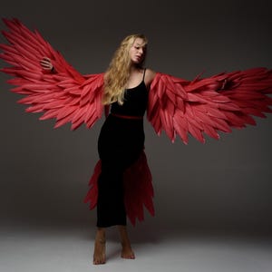 May include: A woman wearing a black dress with a red feather wing costume. The wings are large and spread out behind her.