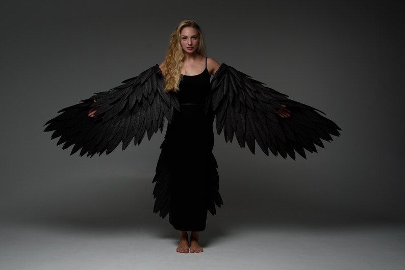 Dress Wings Black