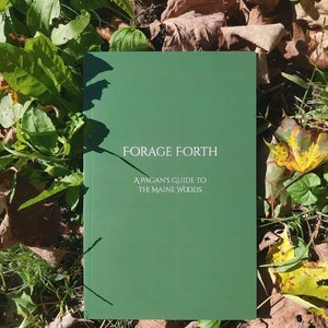 Forage Forth - A Pagan&#39;s Guide to the Maine Woods