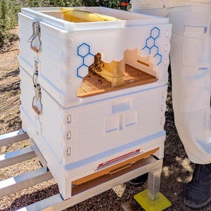 May include: A white beehive with blue hexagonal designs, held by a person in a protective suit. The hive is on a metal stand, and a frame filled with bees is being held up. The background shows trees and a blue sky.