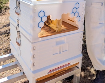 Kit de superadaptador Apimaye Flow Hive de Sage Design