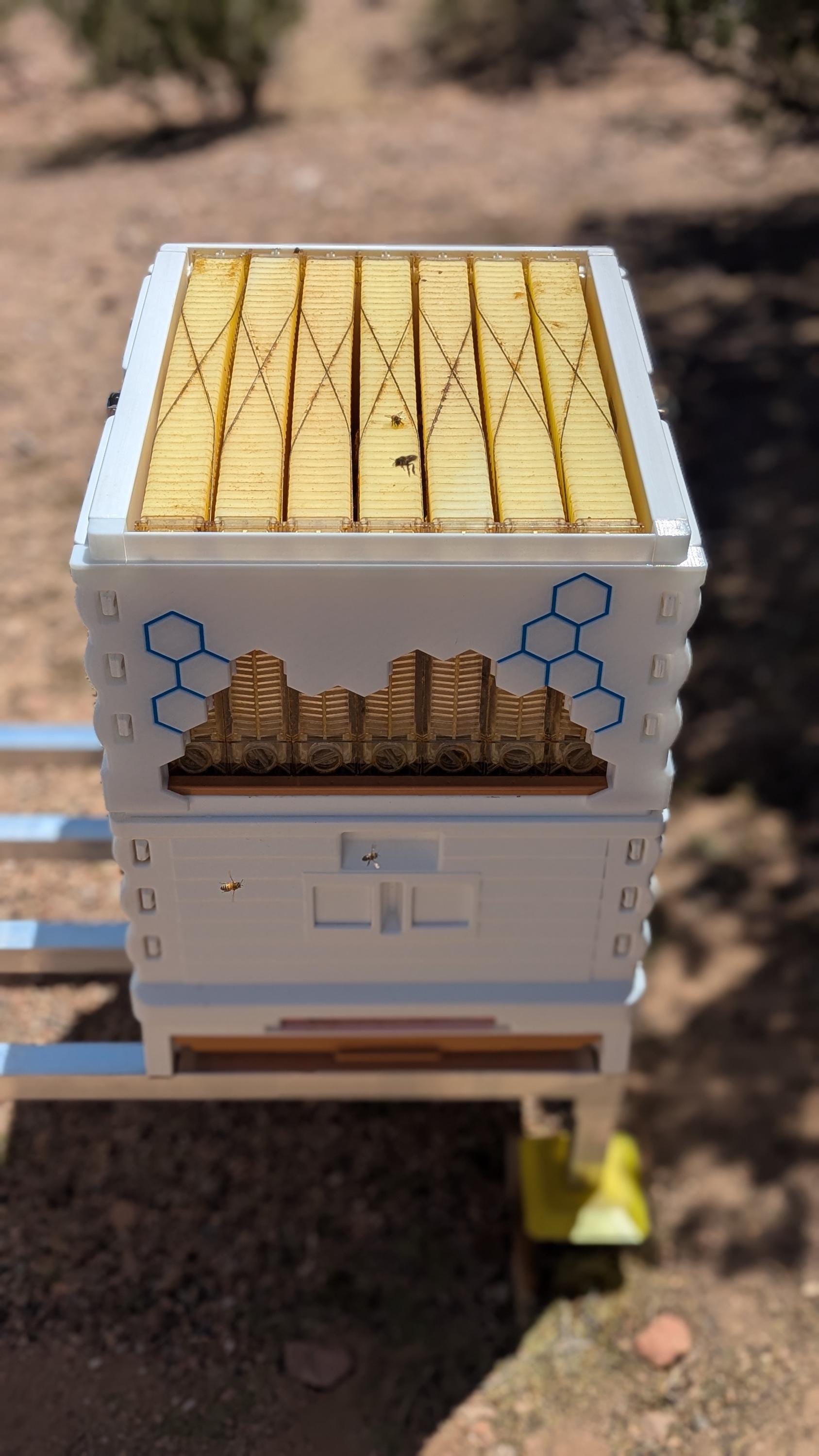 Apimaye Flow Hive Super Adapter Kit by Sage Design - Etsy