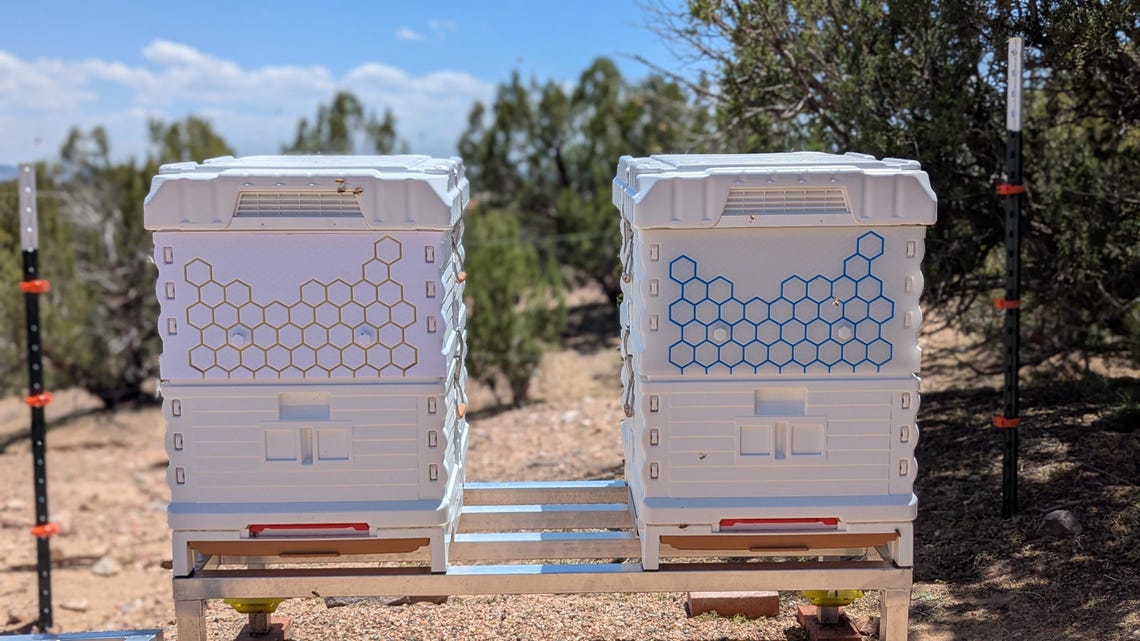 Apimaye Flow Hive Super Adapter Kit by Sage Design - Etsy