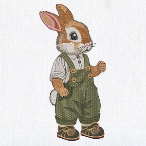 Puede incluir: Un conejito marrón y blanco con un mono verde y zapatos marrones. El conejito lleva una camisa blanca con un botón y una pajarita marrón.