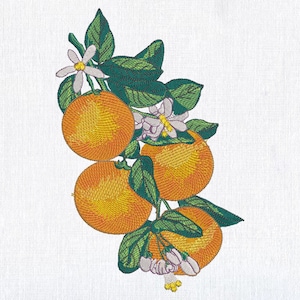 Diseño de bordado de rama de naranja: Patrón PES floral y frutal (8 tamaños)
