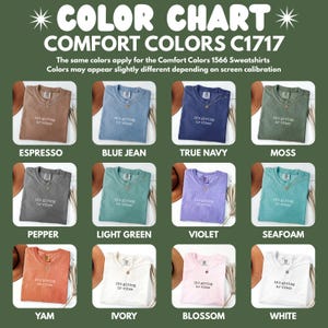Comfort Colors C1717 Shirt Color Chart, Comfort Colors Shirt Options, Trendy Aesthetic Color Options, Unique Color Palette Choices
