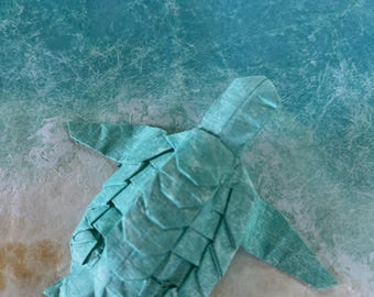 Honu Returns to the Sea