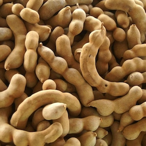 2 Tamarind, Tamarindus indica seeds