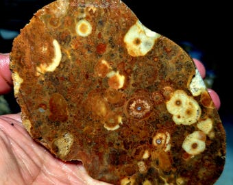Black Sea Agate 1 pair Ordu Turkey not polished