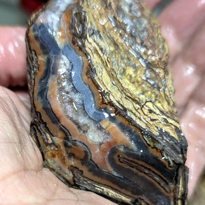 May include: A raw, polished agate specimen featuring distinct, layered bands of tan, brown, black, and translucent blue-grey. The surface displays a textured, wood-like appearance on one side, transitioning into smooth, crystalline mineral formations.