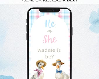 It’s a Boy Digital Gender Reveal Video, Baby Boy Announcement, Blue Gender Reveal, Editable Pregnancy Reveal Template, Boy Baby Reveal.