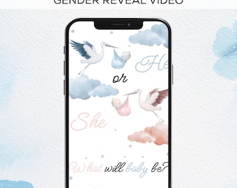 It’s a Boy Digital Gender Reveal Video | Boy Pregnancy Announcement | Editable Canva Template | Digital Baby Reveal Video | It’s a Boy