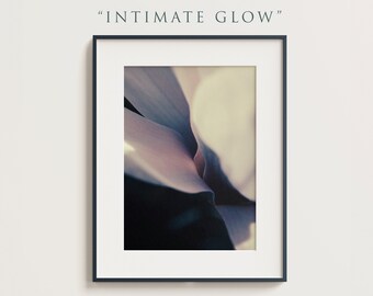 Intimate Glow - White Lilac Magnolia Photography Purple Petal Bloom Wall Art Spring Flower Botanical Wall Decor Floral Nature Photo Artwork
