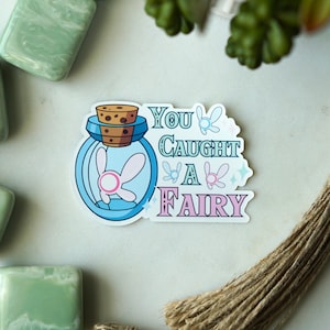 You Caught A Fairy Sticker | Vinyl Sticker | Legend of Zelda Sticker | Ocarina of Time Sticker | Gaming Sticker