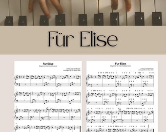 Für Elise by Beethoven | Easy Piano with Note Names