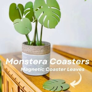 Monstera Plant Coaster - Eco-Friendly 3D Printed Leaf Design, Unique Home Decor, Plant Lover Gift