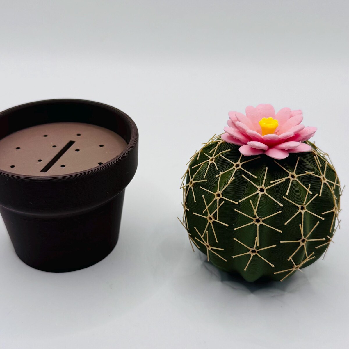 Cactus Salt and Pepper Shaker Set – Cute Kitchen Gift, Table Decor, Spice Shakers, Housewarming Gift - Etsy