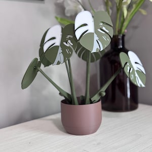 3D Printed Monstera Leaf Coaster Set: Tropical Plant Decor