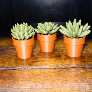 3D Printed Succulent Fidget Spinner: Stress Relief Desk Toy