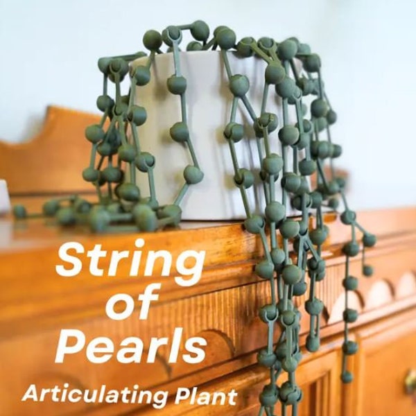 3D Printed Articulated String of Pearls Plant - Lifelike Hanging Succulent Decor for Home, Office, Unique Gift Idea for Plant Lovers