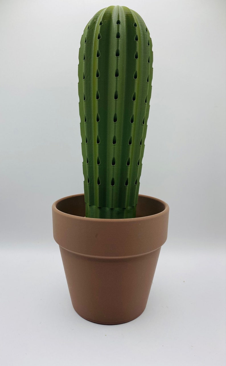 Unique 3D Printed Kitchen Decor Cactus Toothpick Holder Decorative