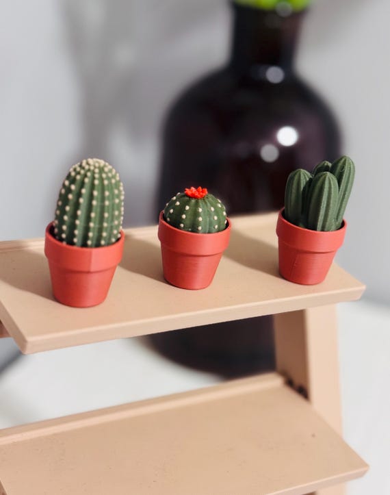 Clicky Cacti - 3D Printed Cactus Fidget Clicker - Etsy