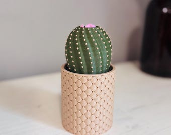 Llavero de cactus impreso en 3D: organizador de entrada y colgador de llaves