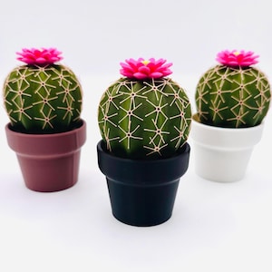 Cactus Salt and Pepper Shaker Set: Quirky Kitchen Decor