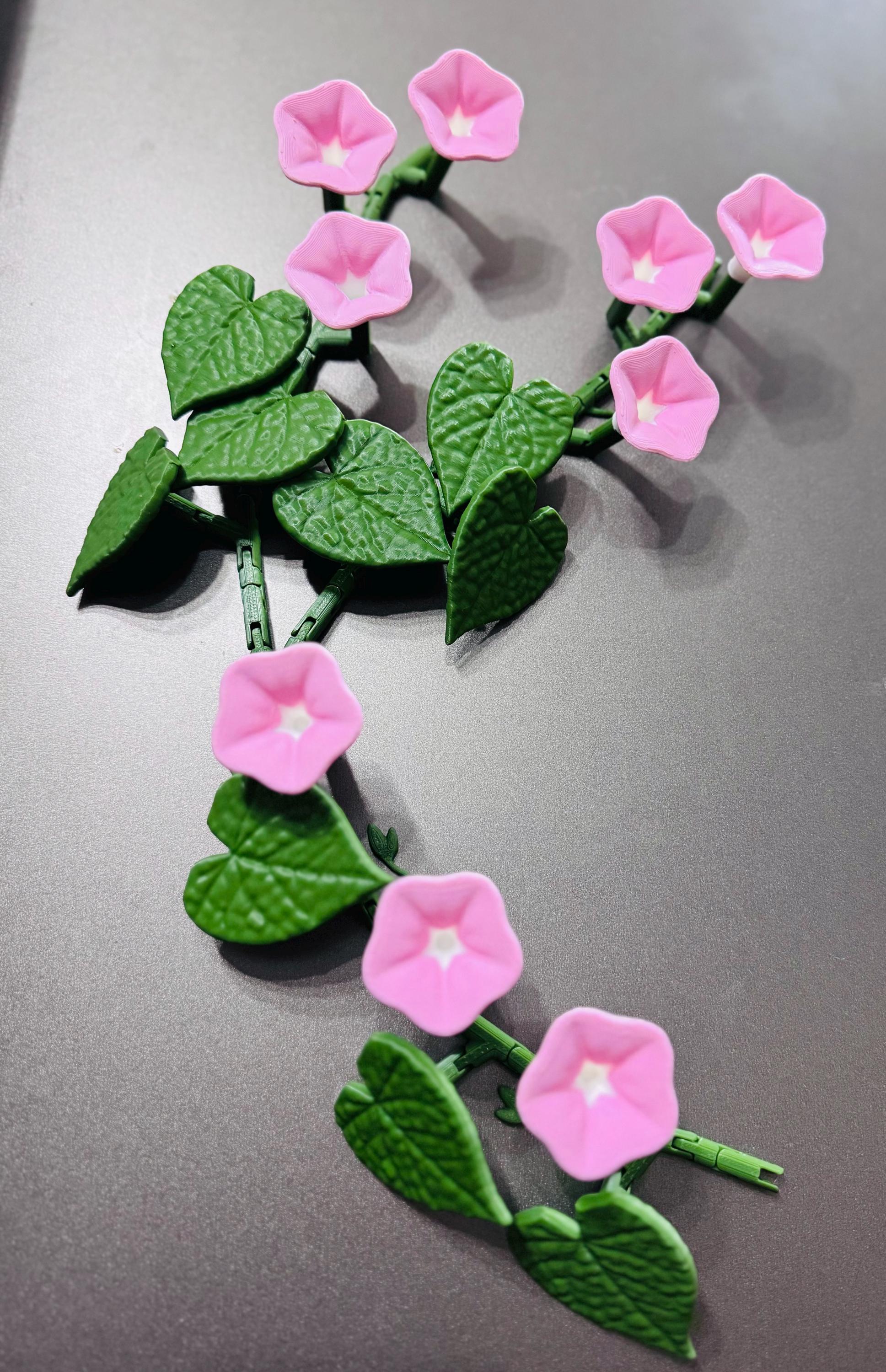 3D Printed Morning Glory Fridge Magnets – Ivy Flower Magnets for Kitchen Decor – Articulating Plant
