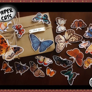 PAPER mix B4 gran mariposa recorte troquel corta vintage quisquillosa ilustración niños elaboración collage decoración del hogar animal naturaleza tarjeta haciendo etiqueta