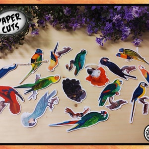 PAPIER Mix P2 Papageien Vogel Pack Ausschnitt Stanzteile Vintage Retro Pingelige Illustration Kinder Basteln Collage Wohnkultur Tier Karte machen
