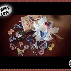 Mistura de PAPEL B3 pacote de borboleta recorte cortes vintage ilustração exigente crianças artesanato colagem decoração de casa animal natureza cartão fazendo tag