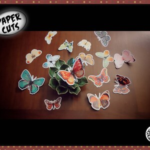 PAPER mix B1B mariposa paquete recorte troquel cortes vintage quisquillosa ilustración niños elaboración collage decoración del hogar animal naturaleza tarjeta haciendo etiqueta
